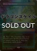 [FOIL] 霧深い雨林/Misty Rainforest No.116 (全面アート版・ドラゴンスケイル仕様) 【英語版】 [SPG-土地MR]