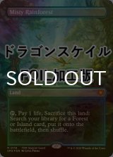 [FOIL] 霧深い雨林/Misty Rainforest No.116 (全面アート版・ドラゴンスケイル・フォイル仕様) 【英語版】 [SPG-土地MR]