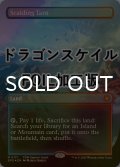 [FOIL] 沸騰する小湖/Scalding Tarn No.117 (全面アート版・ドラゴンスケイル仕様) 【英語版】 [SPG-土地MR]