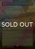 [FOIL] 砂漠/Desert (全面アート版) 【日本語版】 [SPG-土地MR]
