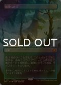 [FOIL] 霧深い雨林/Misty Rainforest No.111 (全面アート版) 【日本語版】 [SPG-土地MR]