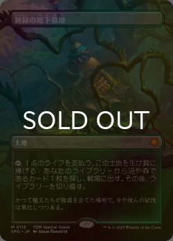 画像1: [FOIL] 新緑の地下墓地/Verdant Catacombs No.113 (全面アート版) 【日本語版】 [SPG-土地MR]