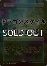 [FOIL] 霧深い雨林/Misty Rainforest No.116 (全面アート版・ドラゴンスケイル・フォイル仕様) 【日本語版】 [SPG-土地MR]