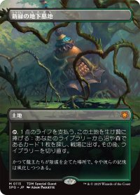 新緑の地下墓地/Verdant Catacombs (全面アート版) 【日本語版】 [SPG-土地MR]