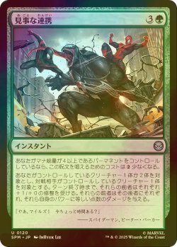 画像1: [FOIL] 見事な連携/Terrific Team-Up 【日本語版】 [SPM-緑U]