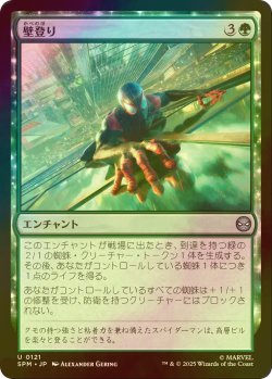 画像1: [FOIL] 壁登り/Wall Crawl 【日本語版】 [SPM-緑U]