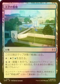 [FOIL] 大学の敷地/University Campus 【日本語版】 [SPM-土地C]