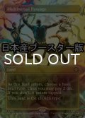 [FOIL] マルチバースへの通り道/Multiversal Passage ● (全面アート・日本産ブースター版) 【英語版】 [SPM-土地R]