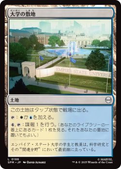 画像1: 大学の敷地/University Campus 【日本語版】 [SPM-土地C]