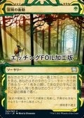 [FOIL] 冒険の衝動/Adventurous Impulse (ミスティカルアーカイブ版・エッチング仕様) 【日本語版】 [STA-緑U]