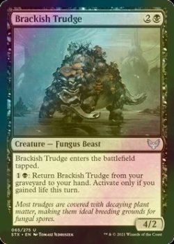 画像1: [FOIL] 汽水トラッジ/Brackish Trudge 【英語版】 [STX-黒U]