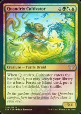 [FOIL] クアンドリクスの栽培者/Quandrix Cultivator 【英語版】 [STX-金U]