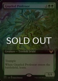 [FOIL] 節くれだった教授/Gnarled Professor (拡張アート版) 【英語版】 [STX-緑R]