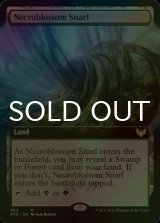 [FOIL] 屍花の交錯/Necroblossom Snarl (拡張アート版) 【英語版】 [STX-土地R]