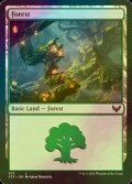 [FOIL] 森/Forest No.375 【英語版】 [STX-土地C]