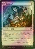 [FOIL] 殲滅学入門/Introduction to Annihilation 【日本語版】 [STX-無C]