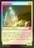 [FOIL] 星霜の巡礼者/Pilgrim of the Ages 【日本語版】 [STX-白C]