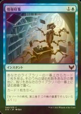 [FOIL] 情報収集/Curate 【日本語版】 [STX-青C]