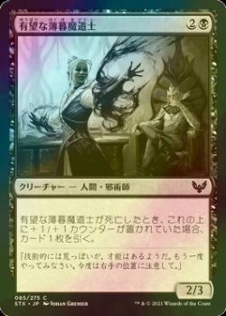 画像1: [FOIL] 有望な薄暮魔道士/Promising Duskmage 【日本語版】 [STX-黒C]