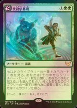 [FOIL] 使役学基礎/Basic Conjuration 【日本語版】 [STX-緑R]