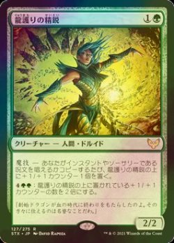 画像1: [FOIL] 龍護りの精鋭/Dragonsguard Elite 【日本語版】 [STX-緑R]