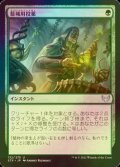 [FOIL] 籠城用投薬/Fortifying Draught 【日本語版】 [STX-緑U]