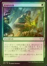 [FOIL] 籠城用投薬/Fortifying Draught 【日本語版】 [STX-緑U]