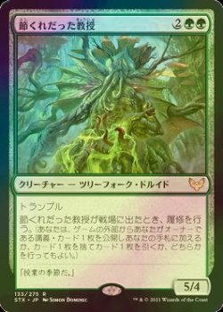 画像1: [FOIL] 節くれだった教授/Gnarled Professor 【日本語版】 [STX-緑R]