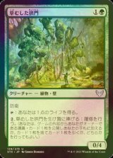 [FOIL] 草むした拱門/Overgrown Arch 【日本語版】 [STX-緑U]