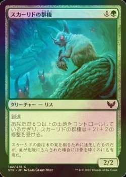 画像1: [FOIL] スカーリドの群棲/Scurrid Colony 【日本語版】 [STX-緑C]