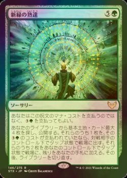 画像1: [FOIL] 新緑の熟達/Verdant Mastery 【日本語版】 [STX-緑R]