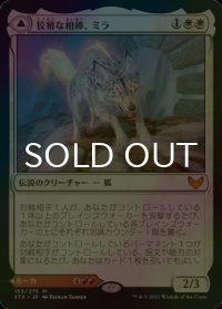 [FOIL] 狡猾な相棒、ミラ/Mila, Crafty Companion 【日本語版】 [STX-白MR]