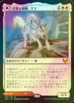 画像1: [FOIL] 狡猾な相棒、ミラ/Mila, Crafty Companion 【日本語版】 [STX-白MR]