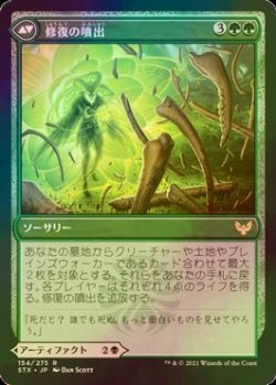 画像2: [FOIL] 死に至る大釜/Pestilent Cauldron 【日本語版】 [STX-黒R]