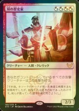 [FOIL] 刃の歴史家/Blade Historian 【日本語版】 [STX-金R]