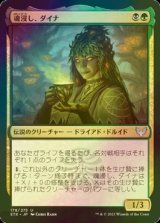 [FOIL] 魂浸し、ダイナ/Dina, Soul Steeper 【日本語版】 [STX-金U]