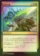 [FOIL] 定命の槍/Mortality Spear 【日本語版】 [STX-金U]