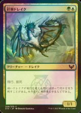 [FOIL] 針棘ドレイク/Needlethorn Drake 【日本語版】 [STX-金C]