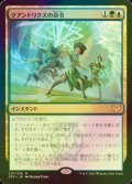 [FOIL] クアンドリクスの命令/Quandrix Command 【日本語版】 [STX-金R]