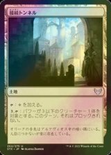 [FOIL] 接続トンネル/Access Tunnel 【日本語版】 [STX-土地U]