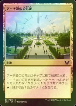 画像1: [FOIL] アーチ道の公共地/Archway Commons 【日本語版】 [STX-土地C]