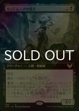 [FOIL] セッジムーアの魔女/Sedgemoor Witch (拡張アート版) 【日本語版】 [STX-黒R]