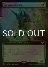 [FOIL] 成し遂げた錬金術師/Accomplished Alchemist (拡張アート版) 【日本語版】 [STX-緑R]