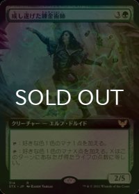 [FOIL] 成し遂げた錬金術師/Accomplished Alchemist (拡張アート版) 【日本語版】 [STX-緑R]