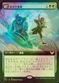 [FOIL] 使役学基礎/Basic Conjuration (拡張アート版) 【日本語版】 [STX-緑R]