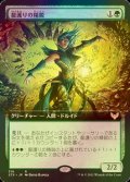 [FOIL] 龍護りの精鋭/Dragonsguard Elite (拡張アート版) 【日本語版】 [STX-緑R]