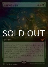 [FOIL] 生態学的な理解/Ecological Appreciation (拡張アート版) 【日本語版】 [STX-緑MR]