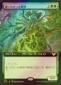 [FOIL] 節くれだった教授/Gnarled Professor (拡張アート版) 【日本語版】 [STX-緑R]