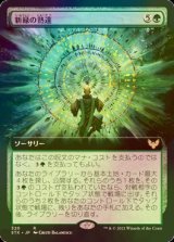 [FOIL] 新緑の熟達/Verdant Mastery (拡張アート版) 【日本語版】 [STX-緑R]