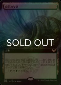 [FOIL] 屍花の交錯/Necroblossom Snarl (拡張アート版) 【日本語版】 [STX-土地R]